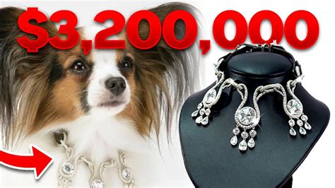 most expensive dog collar.